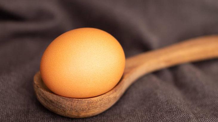 Osman Müftüoğlunun En marifetli dediği vitamin Çok etkili, eksikliği vücudu bitiriyor Osman Müftüoğlunun En marifetli dediği vitamin Çok etkili, eksikliği vücudu bitiriyor