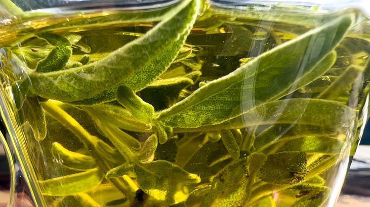 Şifa sanılıyor ancak böbreği çürütüyor Hastaneye yatırdığımız hastalar oldu Şifa sanılıyor ancak böbreği çürütüyor Hastaneye yatırdığımız hastalar oldu