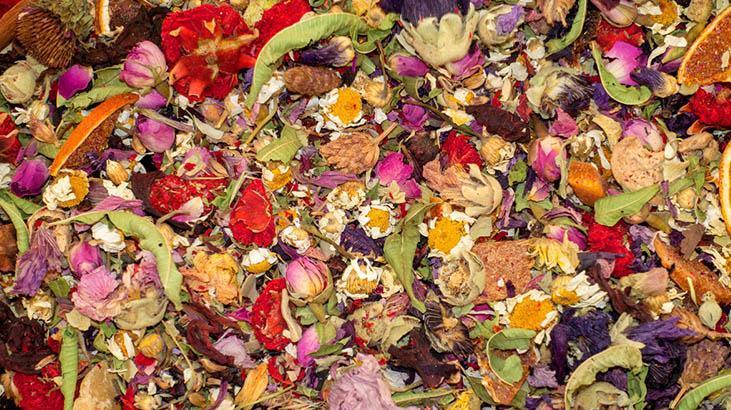 Şifa sanılıyor ancak böbreği çürütüyor Hastaneye yatırdığımız hastalar oldu Şifa sanılıyor ancak böbreği çürütüyor Hastaneye yatırdığımız hastalar oldu