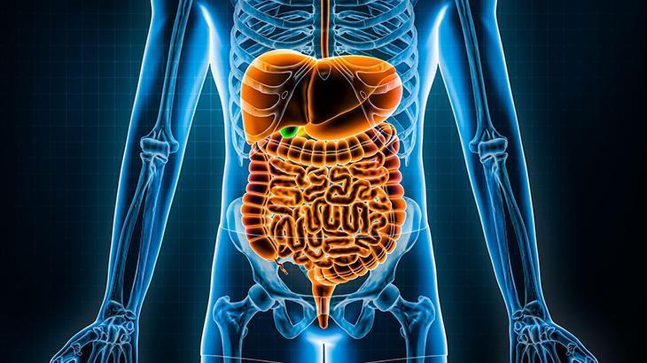 SİNDİRİM SORUNLARI YAŞARSINIZ SİNDİRİM SORUNLARI YAŞARSINIZ