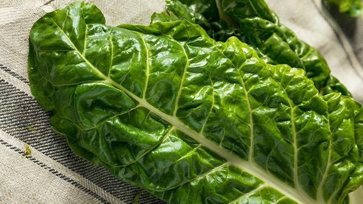 SİNDİRİMİ VE KAN ŞEKERİNİ DÜZENLER