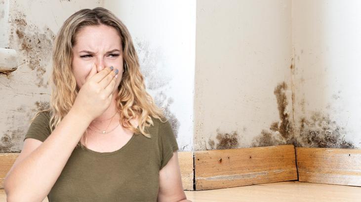 Tek çözümü koklamak Nemin kaynağını bulmazsanız evi terk edin