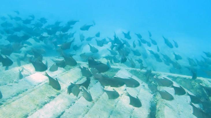 DOĞRU YAPILMASI VE YÖNETİLMESİ LAZIM