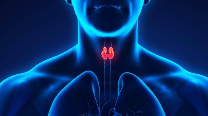 Tiroid rahatsızlığının temel nedenlerinden biri Tiroid rahatsızlığının temel nedenlerinden biri