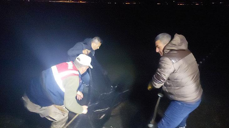 Vanda ekiplerin inci kefali nöbeti