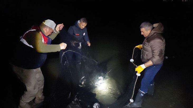 Vanda ekiplerin inci kefali nöbeti