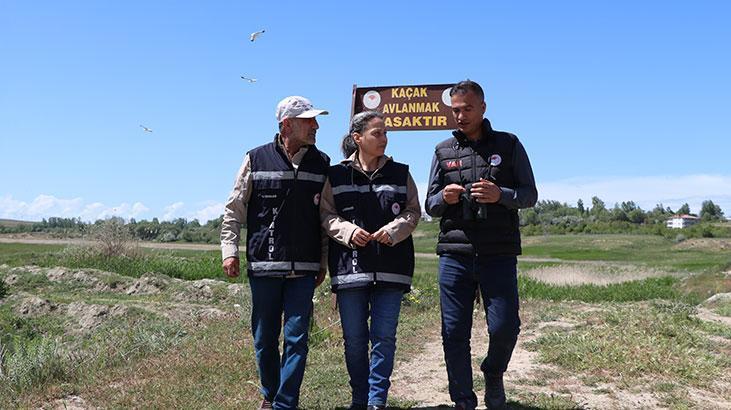 Vanda ekiplerin inci kefali nöbeti