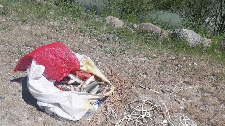 Vanda ekiplerin inci kefali nöbeti