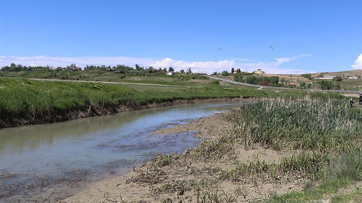 Vanda ekiplerin inci kefali nöbeti