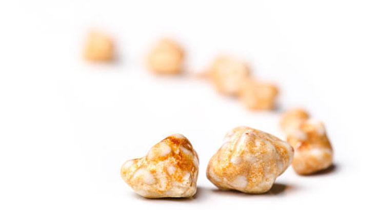 Safra taşına neden olan faktörler