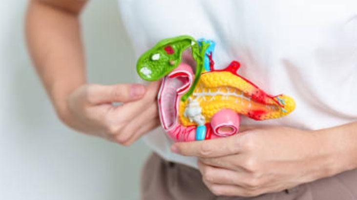 Safra taşlarına savaş açan zeytinyağı mucizesi Eriterek kırıyor, tek tek temizliyor