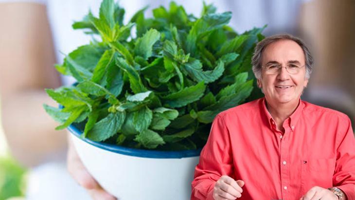 İbrahim Saraçoğlu araştırdı Basit bir baharat değil, Osmanlılar hiç vazgeçemedi