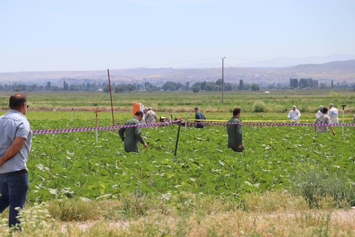 Kayseride eğitim uçağı düştü MSB: İki pilot şehit oldu