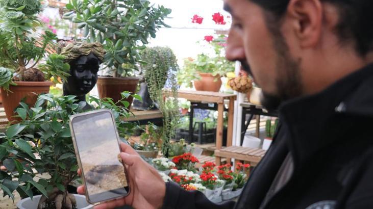 Boluda görüldü Dünyanın en zehirlisi Isırdığında öldürüyor Boluda görüldü Dünyanın en zehirlisi Isırdığında öldürüyor