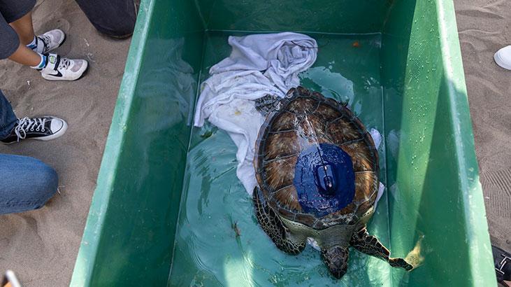Kızkalesi ve Mersin Üniversitesi denizle buluştu