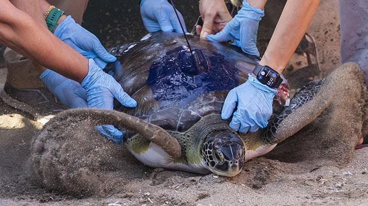 Kızkalesi ve Mersin Üniversitesi denizle buluştu