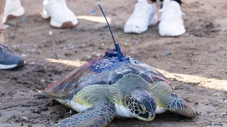 Kızkalesi ve Mersin Üniversitesi denizle buluştu