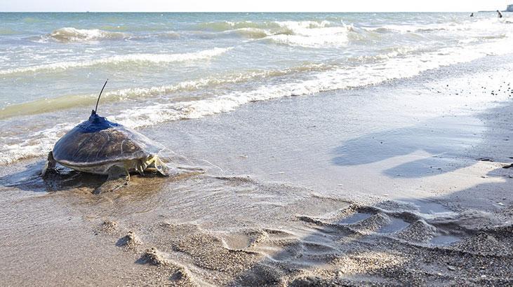 Kızkalesi ve Mersin Üniversitesi denizle buluştu