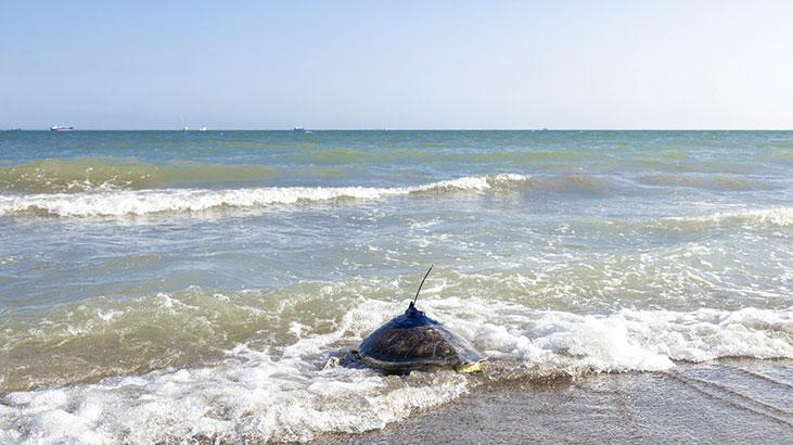 Kızkalesi ve Mersin Üniversitesi denizle buluştu