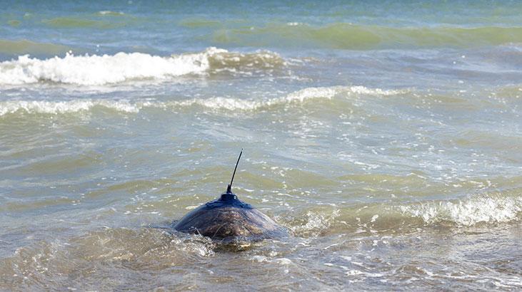 Kızkalesi ve Mersin Üniversitesi denizle buluştu