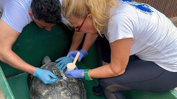 Kızkalesi ve Mersin Üniversitesi denizle buluştu