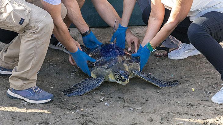 Kızkalesi ve Mersin Üniversitesi denizle buluştu