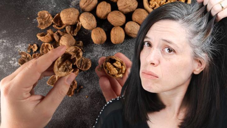 CEVİZ KABUĞU KÜRÜ NASIL HAZIRLANIR