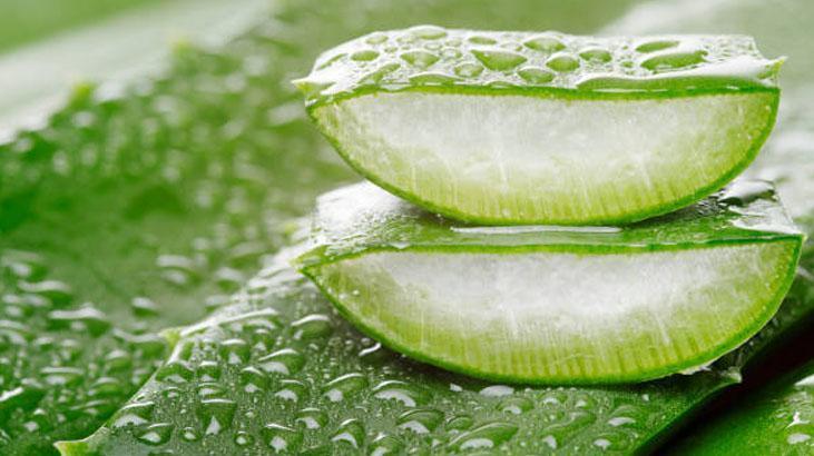 Tüm hücreleri onarıyor Suyu da jeli kadar etkiliymiş: Yüksek şekere, kabızlığa son