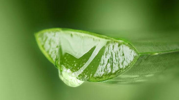 Diş sağlığını iyileştirebilir