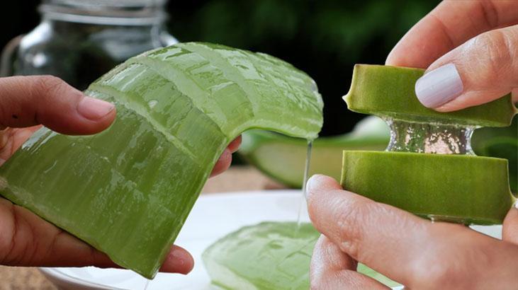 Kan şekerini dengeler