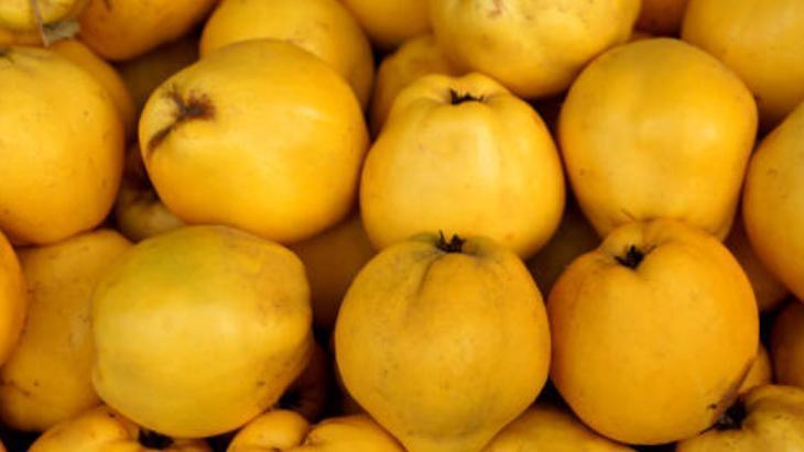 ŞEKERİ EN DÜŞÜK MEYVELERDEN, LİF ORANI YÜKSEK ŞEKERİ EN DÜŞÜK MEYVELERDEN, LİF ORANI YÜKSEK