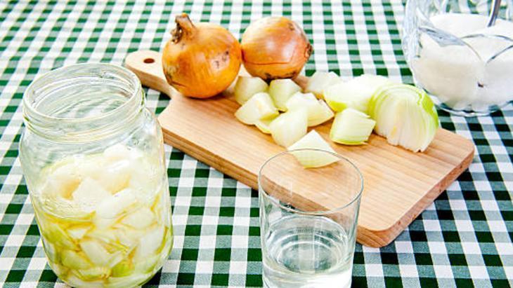 SOĞAN KÜRÜ İÇİN GEREKEN MALZEMLER