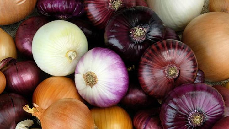 HANGİ SOĞAN OLDUĞU ÖNEMLİ