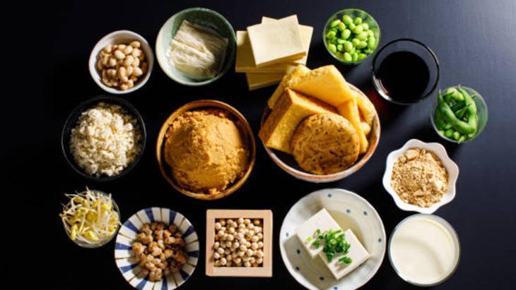 PROBİYOTİK DEPOSU FERMENTE GIDALAR PROBİYOTİK DEPOSU FERMENTE GIDALAR