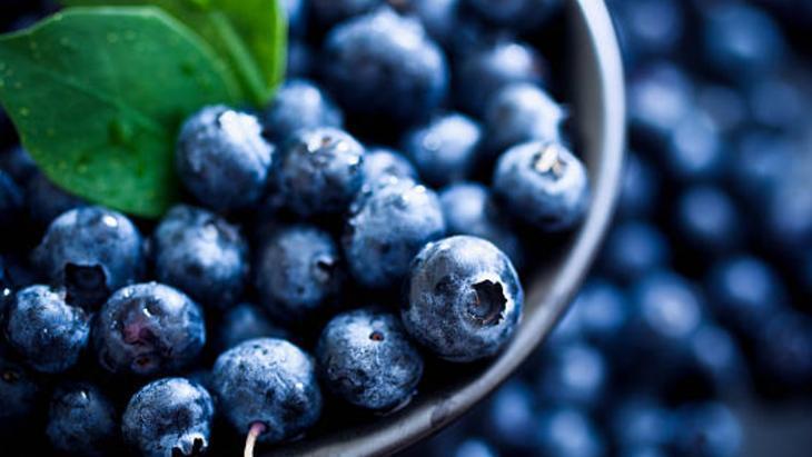 ANTİOKSİDAN CÜMBÜŞÜ YABAN MERSİNİ ANTİOKSİDAN CÜMBÜŞÜ YABAN MERSİNİ