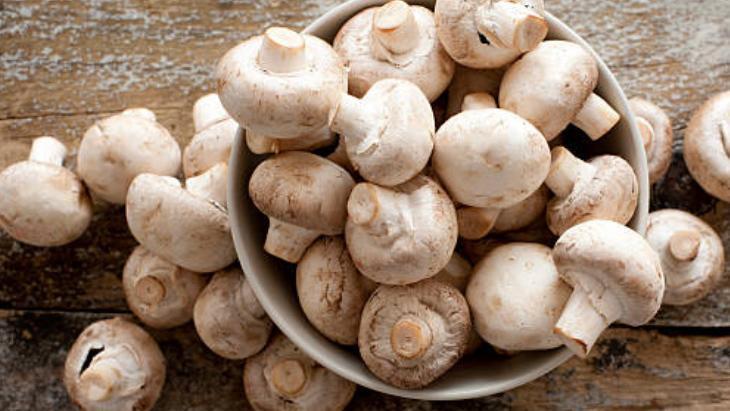 KEMİK SAĞLIĞINI DESTEKLER KEMİK SAĞLIĞINI DESTEKLER