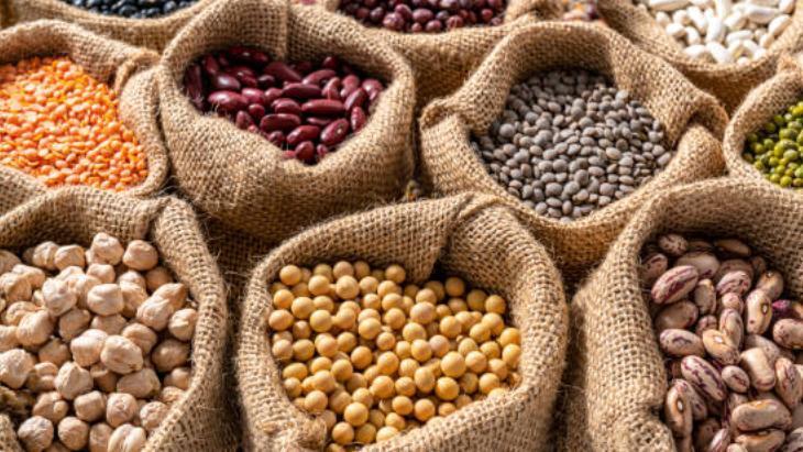 NE ARARSAN BAKLİYATTA NE ARARSAN BAKLİYATTA