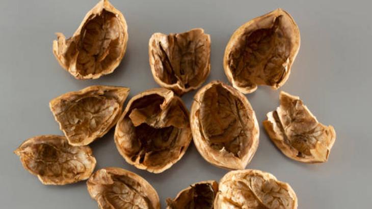 CEVİZ KABUĞU İLE BEYAZLARI GECİKTİRİN