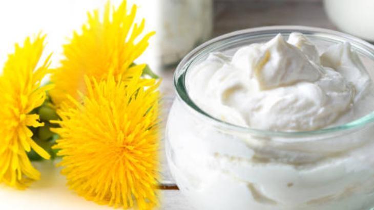 KARAHİNDİBA VE YOĞURT KARIŞIMI