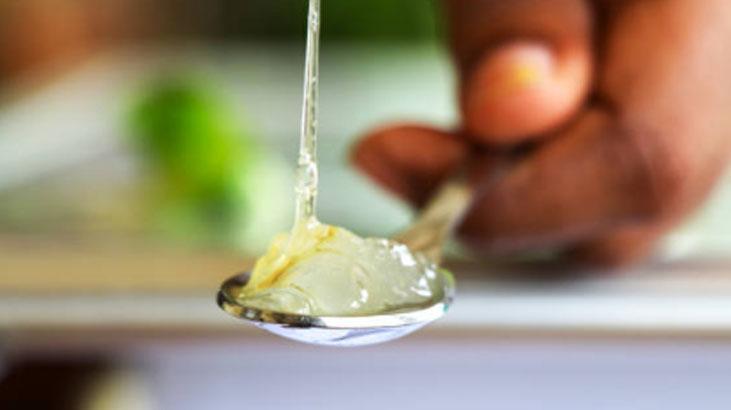 Mucize etkilerine aldanmayn! 75'ten fazla bileen var, ite aloe vera  zehri - Salk Haberleri