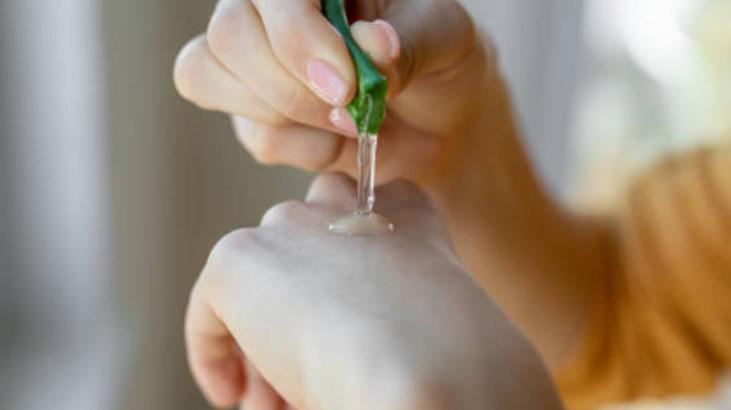 Mucize etkilerine aldanmayn! 75'ten fazla bileen var, ite aloe vera  zehri - Salk Haberleri