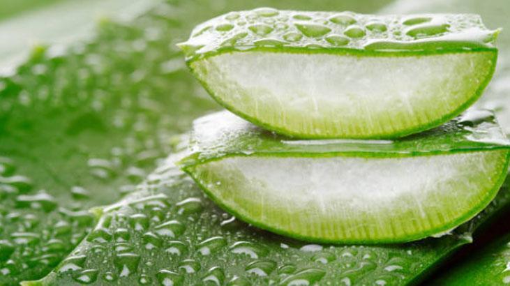 was ist besser hyaluron oder aloe vera Dubben beauty