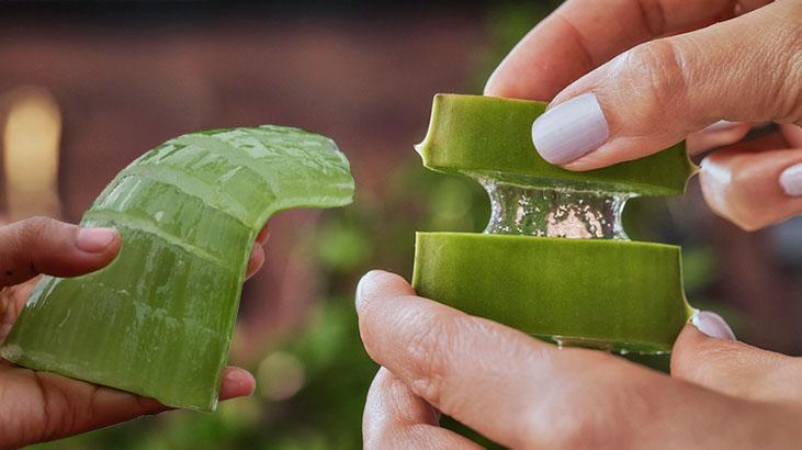 forever aloe vera gel wie einnehmen Forever Aloe Vera Gel – Über 99% reines Aloe-Gel zum trinken