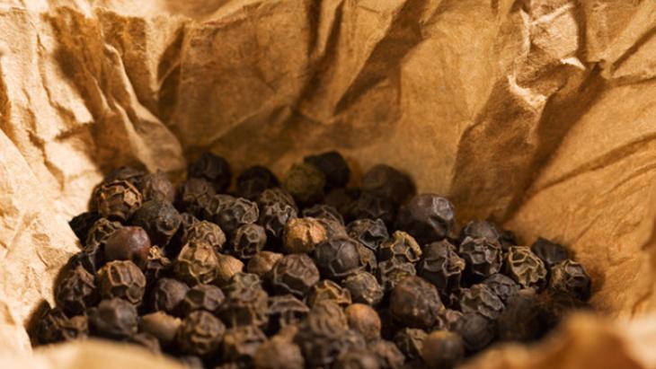 BAĞIŞIKLIK SİSTEMİNİ GÜÇLENDİRİYOR