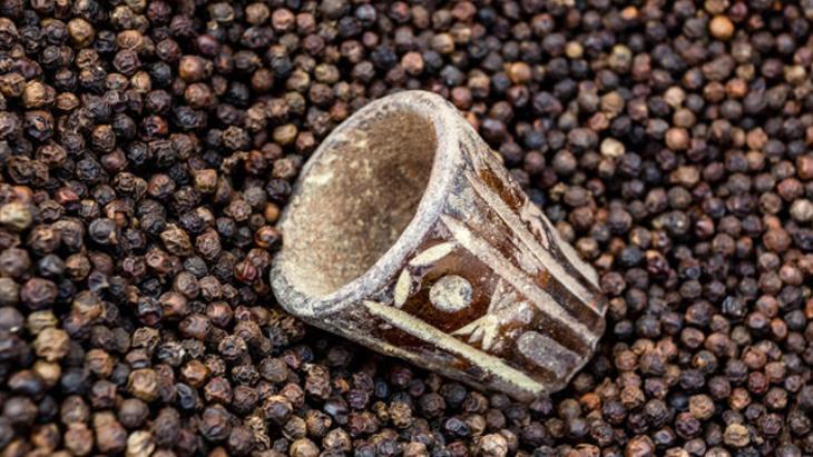 DETOKS YAPMAK İSTER MİSİNİZ