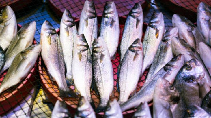 canan karataydan muhteşem balık tüyosu suya koyun, dibe çökerse hemen tavaya atın