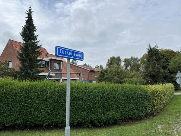 Bir Türkün bile yaşamadığı Hollandadaki Türkiye köyü