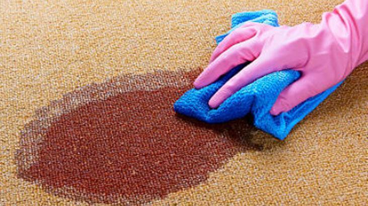 Koltuk, kıyafet, halı fark etmiyor İnatçı zeytinyağı lekesini anında söküp atıyor