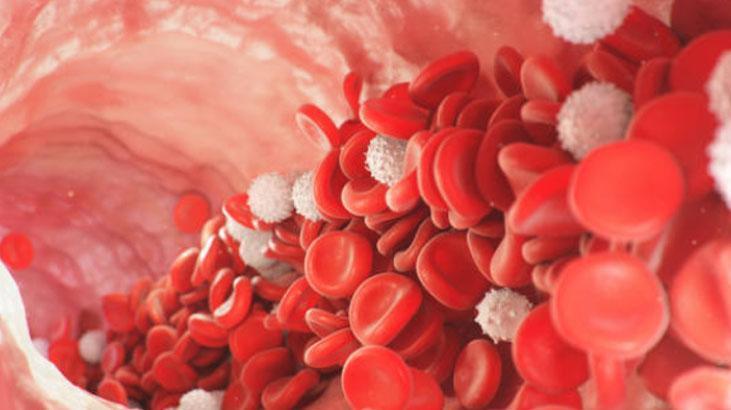 Tek kaşığı bir ünite kan yapıyor Pekmez mi, ciğer mi daha faydalı B12 deposuymuş Tek kaşığı bir ünite kan yapıyor Pekmez mi, ciğer mi daha faydalı B12 deposuymuş