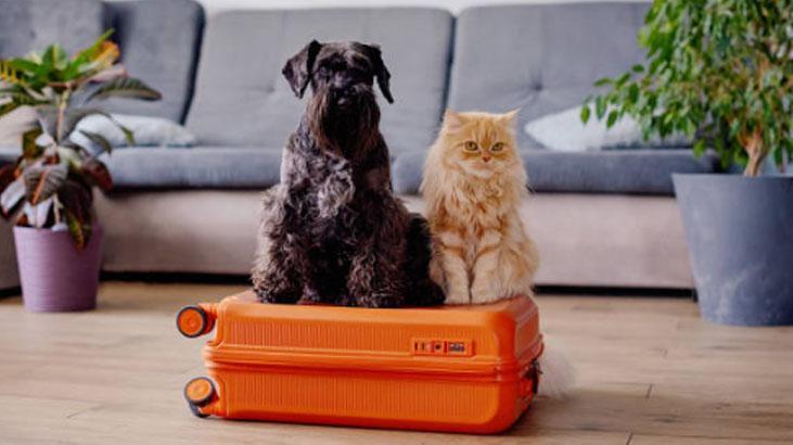 Sirkeli su Sirkeli su